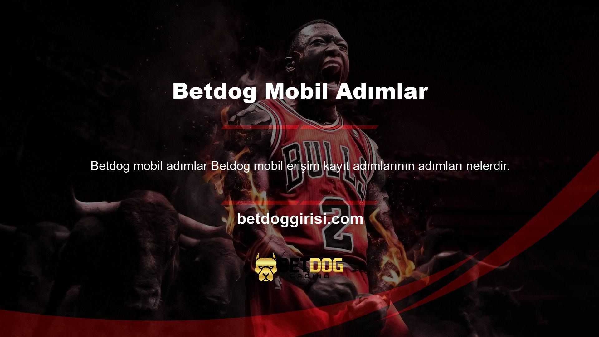 Site giriş prosedürünü akıllı telefonunuzdan veya tabletinizden tamamlama hakkına sahipsiniz